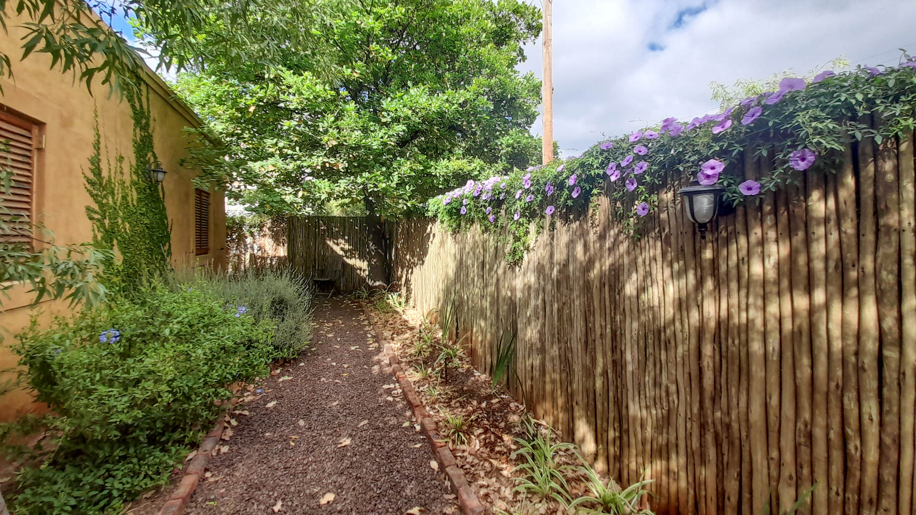 Front garden