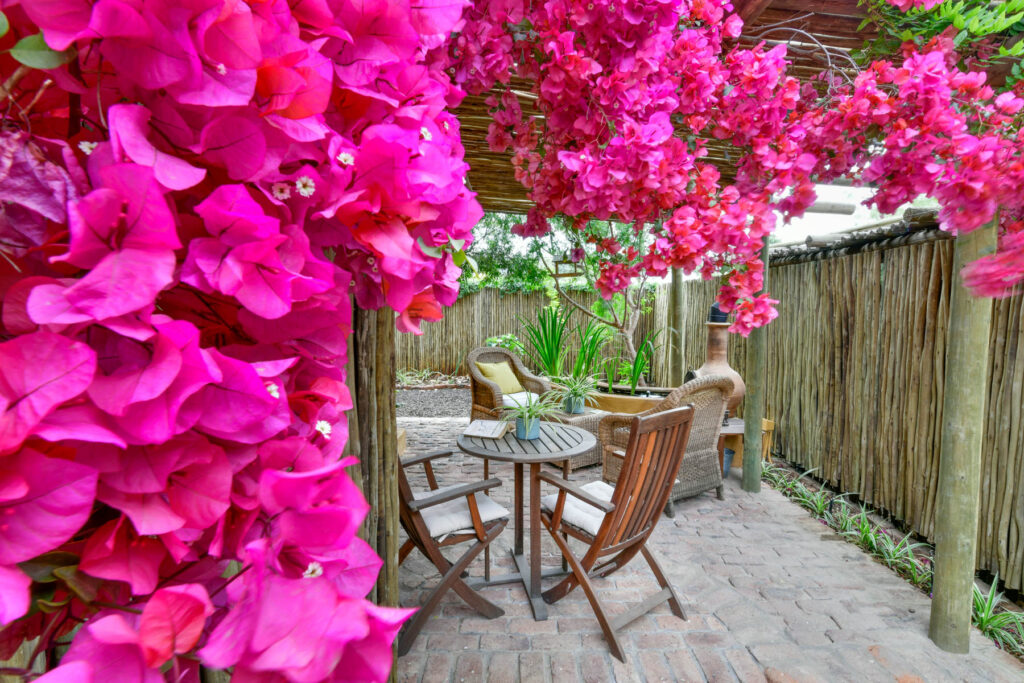 Outdoor Patio